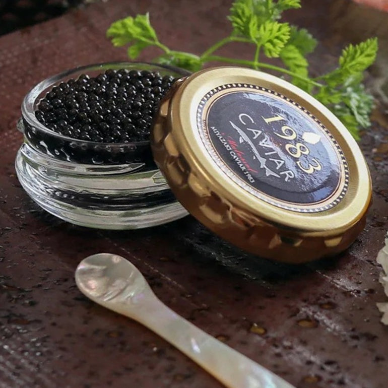 ジャパンキャビアの挑戦|宮崎発の“黒い宝石”が変える食卓【Interview】