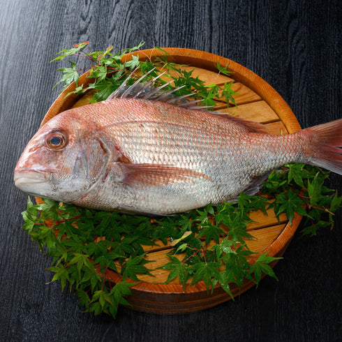 廣島料理専門酔心/釜めしの素セット【穴子・鯛】化粧箱・包装付き