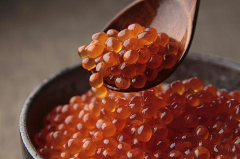 井原水産|味付いくら 500g 箱入(250g×2)