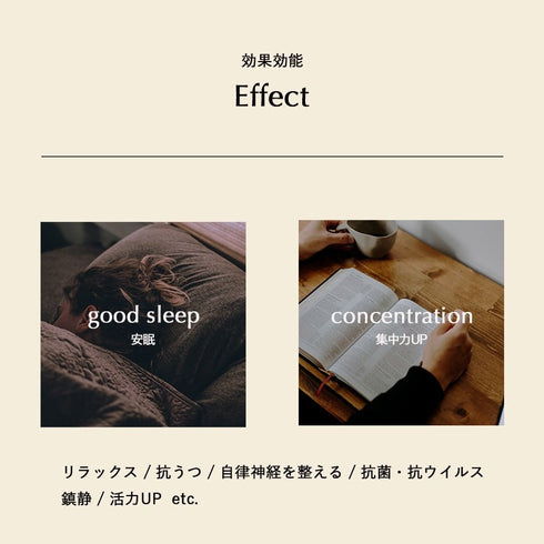 TADAIMA AROMA|02 bitter citrus 30ml & wood aroma dish【 BOX 付き 】