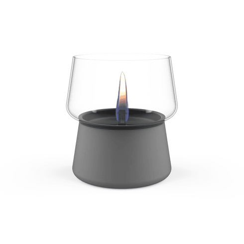 TENDERFLAME|AMARYLLIS 10