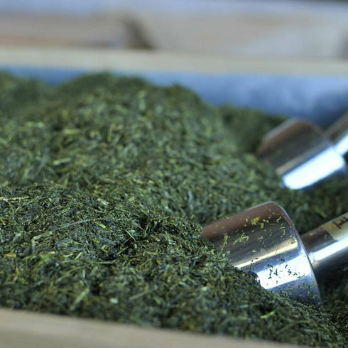 茶の庭|静岡の誉100g缶×3本【化粧箱入り】