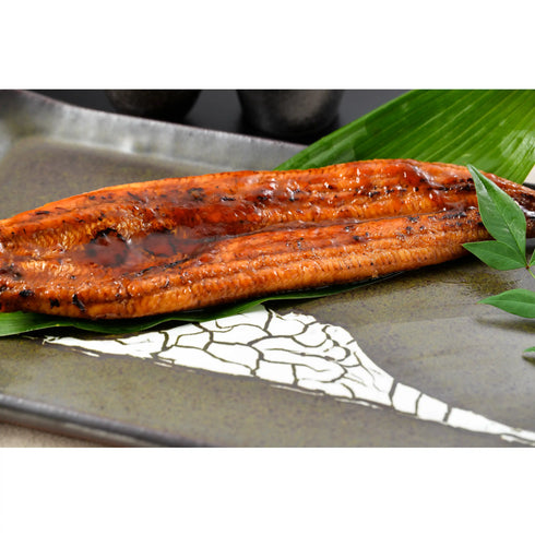 西郷どん鰻|Theさつま西郷どん鰻