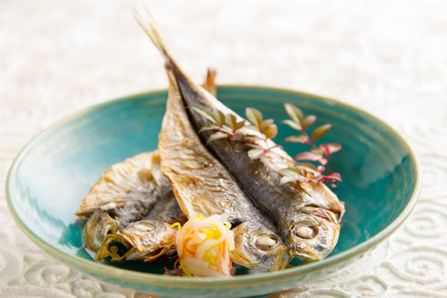 Sea Life|干物セット(紬)