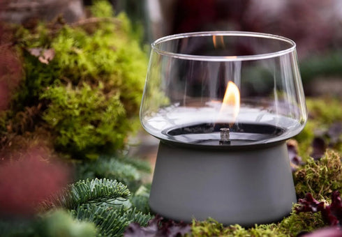 TENDERFLAME|AMARYLLIS 10