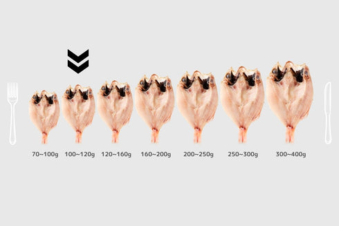 Sea Life|干物セット(紬)