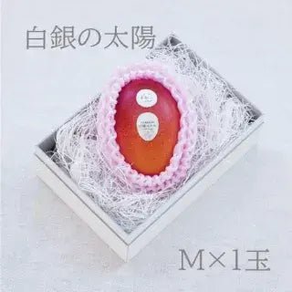 白銀の太陽 | 白銀の太陽プレミアム Mサイズ