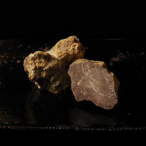 cellato |白夜(白トリュフ・酒粕・パルミジャーノチーズ)-プレミアム(1個)