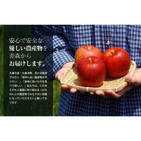 まっかなほんと|神々の林檎(皇室献上品)1本入