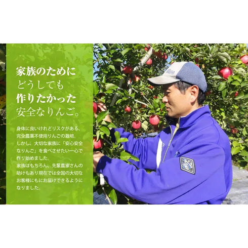 まっかなほんと|神々の林檎(皇室献上品)3本入