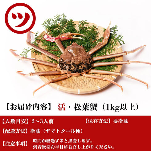 マルツ|【タグ付き】活・松葉がに(特々大・1㎏UP)