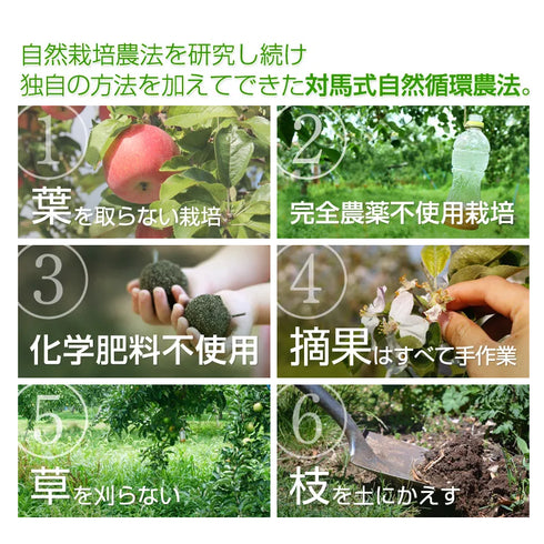 まっかなほんと|神々の林檎(皇室献上品)3本入