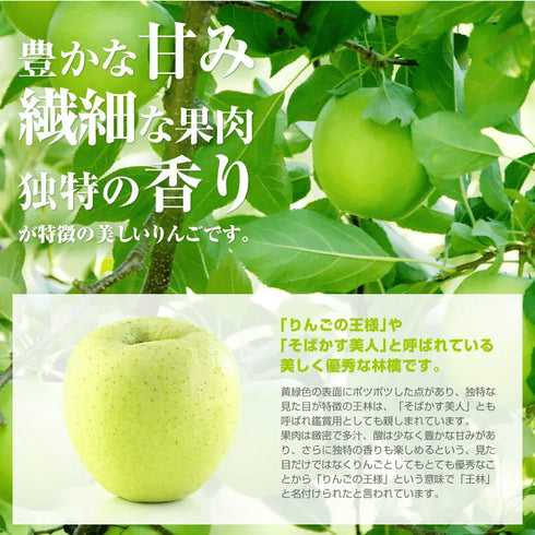 まっかなほんと|神々の林檎(皇室献上品)1本入