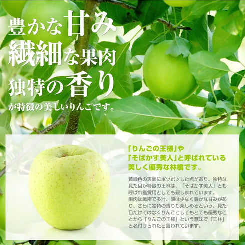 まっかなほんと|神々の林檎(皇室献上品)3本入