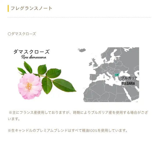 Nama candle|「ダマスクローズ Damask rose」8点ギフトセット