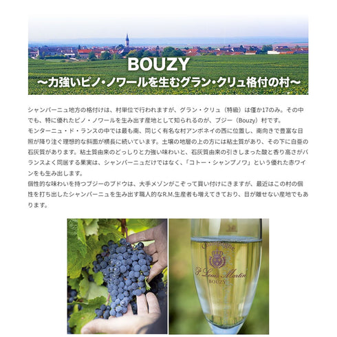 ソムリエ|ブジー・ルージュ・グランクリュ ポール・ルイ・マルタン 2013年 フランス シャンパーニュ 赤ワイン ミディアムボディ 750ml