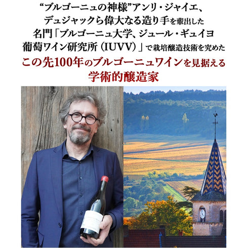 ソムリエ|コルトン・シャルルマーニュ・グラン・クリュ シルヴァン・デュボー 2019年 フランス ブルゴーニュ 白ワイン 辛口 750ml