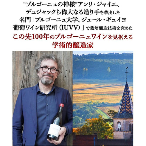 ソムリエ|コルトン・シャルルマーニュ・グラン・クリュ シルヴァン・デュボー 2019年 フランス ブルゴーニュ 白ワイン 辛口 750ml