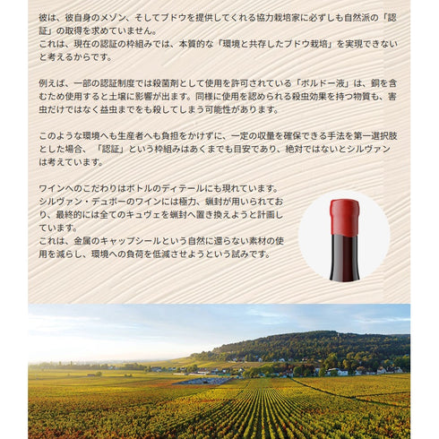 ソムリエ|コルトン・シャルルマーニュ・グラン・クリュ シルヴァン・デュボー 2019年 フランス ブルゴーニュ 白ワイン 辛口 750ml