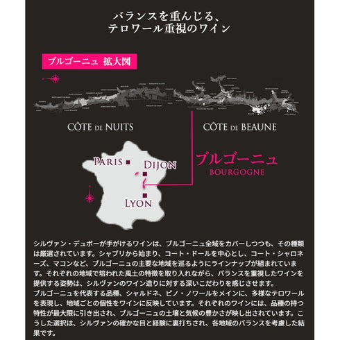 ソムリエ|コルトン・シャルルマーニュ・グラン・クリュ シルヴァン・デュボー 2019年 フランス ブルゴーニュ 白ワイン 辛口 750ml