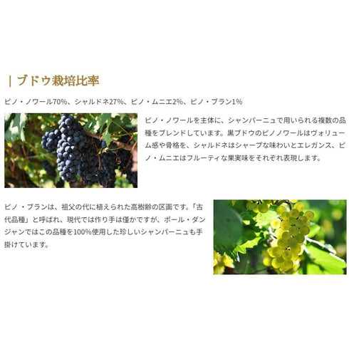 ソムリエ|キュヴェ'47 ポール・ダンジャン・エ・フィス NV フランス シャンパーニュ シャンパン・白 辛口 750ml