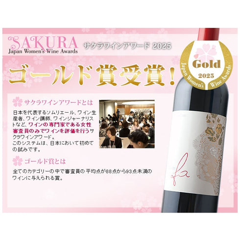 ソムリエ|クロ・デ・ファ ヴィニャ・マーティー 2020年 チリ マイポ・ヴァレー 赤ワイン 750ml