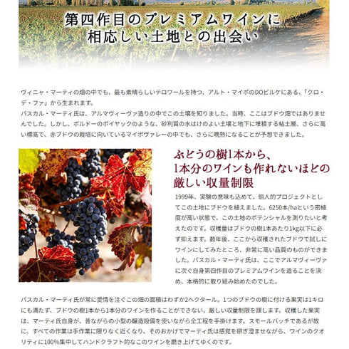 ソムリエ|クロ・デ・ファ ヴィニャ・マーティー 2020年 チリ マイポ・ヴァレー 赤ワイン 750ml