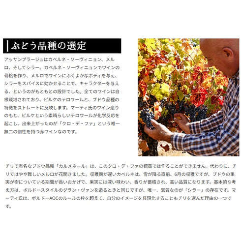 ソムリエ|クロ・デ・ファ ヴィニャ・マーティー 2020年 チリ マイポ・ヴァレー 赤ワイン 750ml