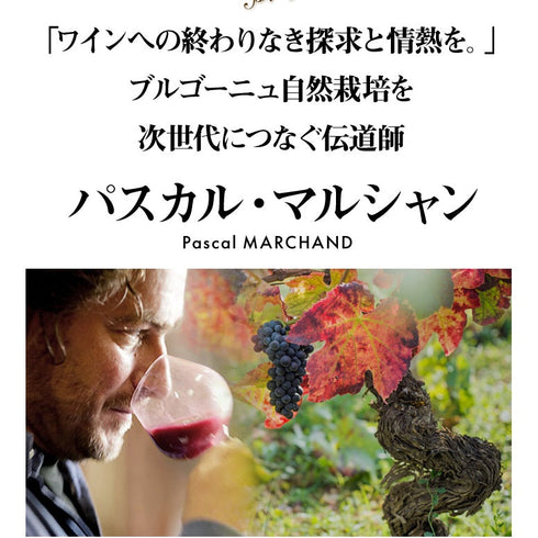 ソムリエ|マジ・シャンベルタン・グラン・クリュ ヴィーニュ・ド・ラ・ファミーユ・トーズ 2021年 ブルゴーニュ 赤ワイン 750ml