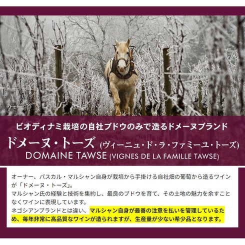 ソムリエ|マジ・シャンベルタン・グラン・クリュ ヴィーニュ・ド・ラ・ファミーユ・トーズ 2021年 ブルゴーニュ 赤ワイン 750ml