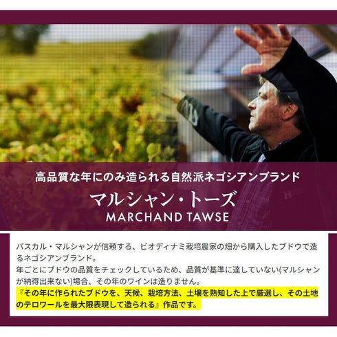 ソムリエ|マジ・シャンベルタン・グラン・クリュ ヴィーニュ・ド・ラ・ファミーユ・トーズ 2021年 ブルゴーニュ 赤ワイン 750ml