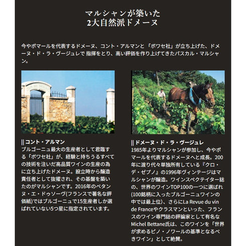 ソムリエ|マジ・シャンベルタン・グラン・クリュ ヴィーニュ・ド・ラ・ファミーユ・トーズ 2021年 ブルゴーニュ 赤ワイン 750ml