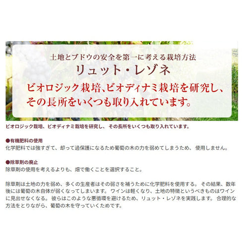 ソムリエ|ムルソー ドメーヌ・マニュエル・オリヴィエ 2023年 フランス ブルゴーニュ 白ワイン 辛口 750ml