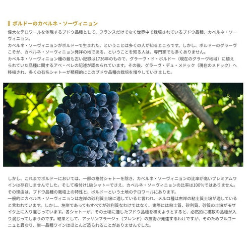 ソムリエ|クロ・ド・ユザ 2018年 フランス ボルドー 赤ワイン フルボディ 750ml