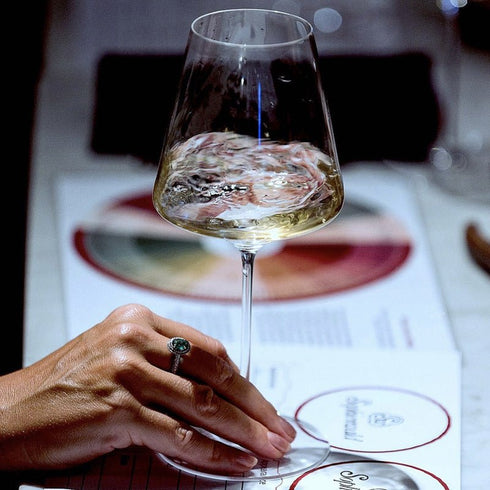 PHOENIX| 【ギフトボックス付き】 ボルドー 570mL(1脚)