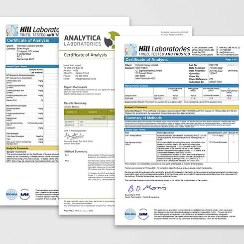BeeMe|エグモントハニー UMF15+ 250g マヌカハニー専用スプーンギフトセット