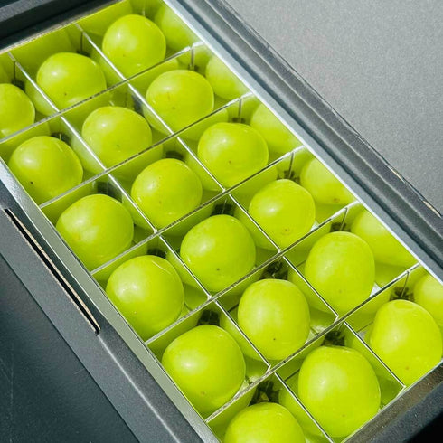 山梨果実|山梨県産 シャインマスカット 18粒入りギフトボックス(クール便)