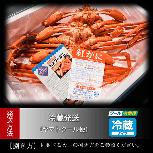 マルツ|釜茹で紅ずわい蟹2杯セット(大)