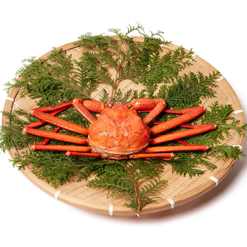 マルツ|釜茹で紅ずわい蟹(特大)