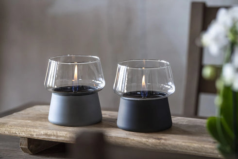 TENDERFLAME|AMARYLLIS 10