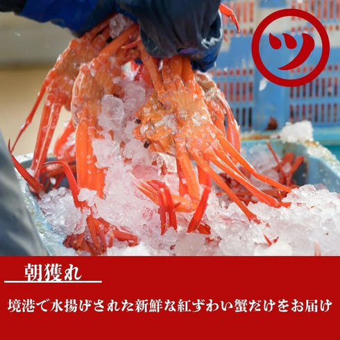 マルツ|釜茹で紅ずわい蟹(特大)