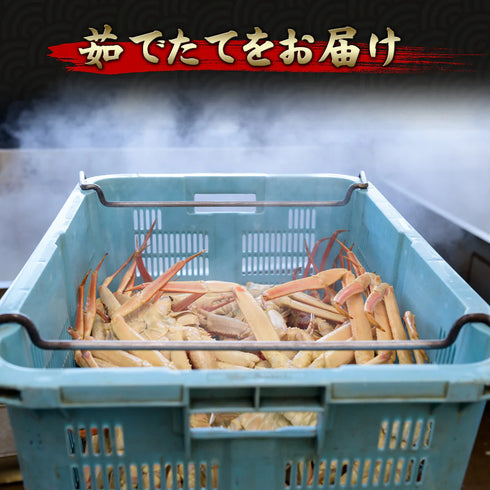 【予約受付中11月中旬頃順次発送】マルツ|【タグ付き】活〆ボイル・松葉がに(中・700g前後)