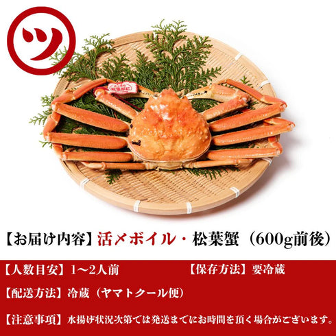 マルツ|【タグ付き】活〆ボイル・松葉がに(小・600g前後)