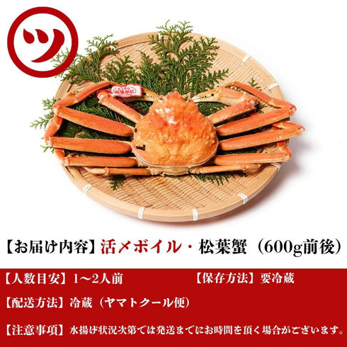 マルツ|【タグ付き】活〆ボイル・松葉がに(小・600g前後)