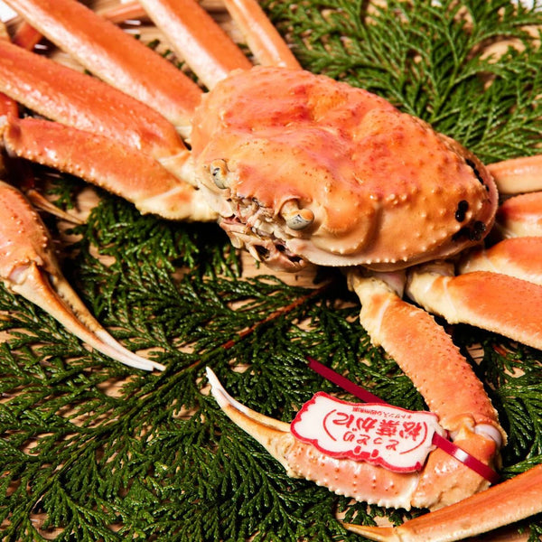 マルツ|【タグ付き】活〆ボイル・松葉がに(大・800g前後)