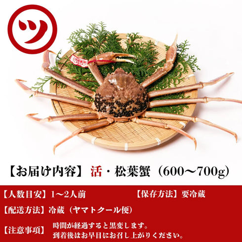 マルツ|【タグ付き】活・松葉がに(小・600~700g)