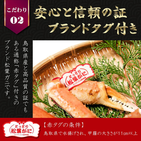 マルツ|【タグ付き】活・松葉がに(中・700~800g)