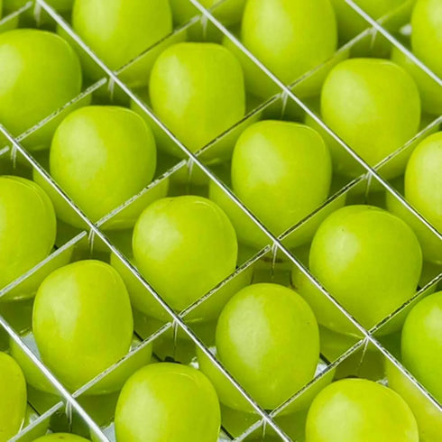 山梨果実|山梨県産 シャインマスカット 36粒入りギフトボックス(クール便)