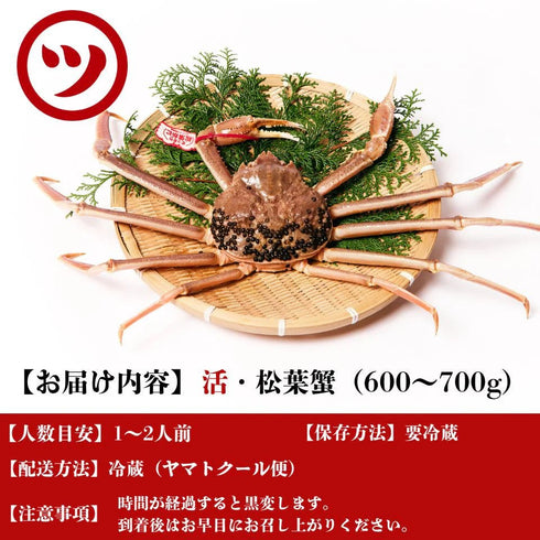 マルツ|【タグ付き】活・松葉がに(中・700~800g)