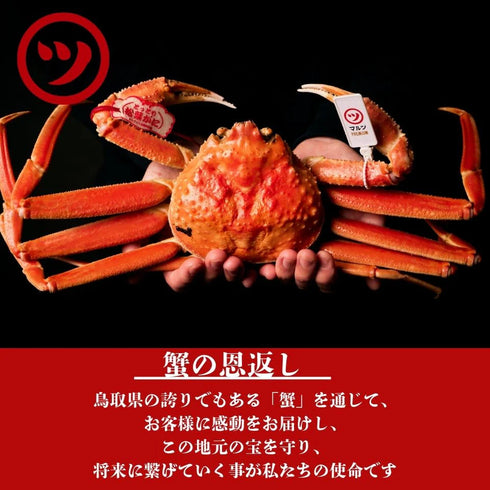 マルツ|釜茹で紅ずわい蟹2杯セット(大)
